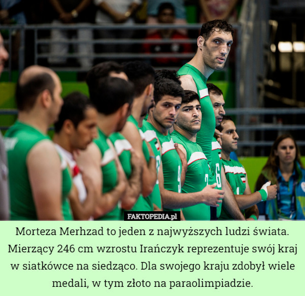 Morteza Merhzad to jeden z najwyższych ludzi świata. Mierzący 246 cm wzrostu Irańczyk reprezentuje swój kraj
w siatkówce na siedząco. Dla swojego kraju zdobył wiele medali, w tym złoto na paraolimpiadzie. 
