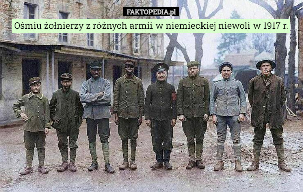Ośmiu żołnierzy z różnych armii w niemieckiej niewoli w 1917 r. 