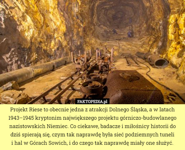 Projekt Riese to obecnie jedna z atrakcji Dolnego Śląska, a w latach 1943–1945 kryptonim największego projektu górniczo-budowlanego nazistowskich Niemiec. Co ciekawe, badacze i miłośnicy historii do dziś spierają się, czym tak naprawdę była sieć podziemnych tuneli
 i hal w Górach Sowich, i do czego tak naprawdę miały one służyć. 