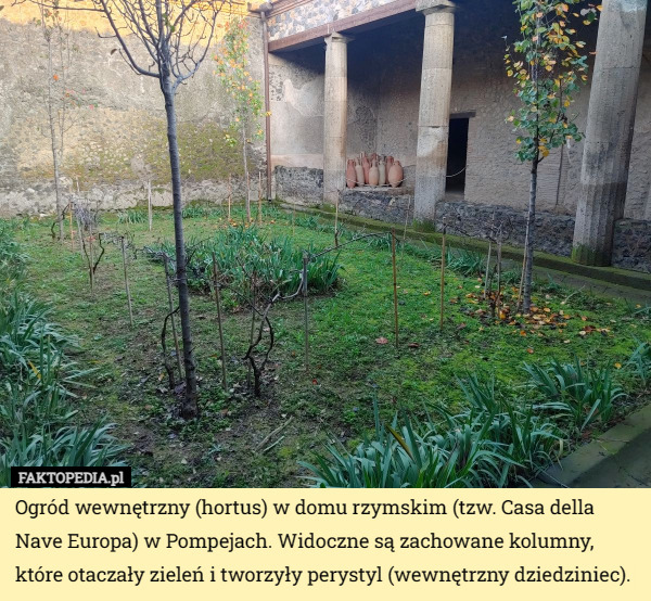 Ogród wewnętrzny (hortus) w domu rzymskim (tzw. Casa della Nave Europa) w Pompejach. Widoczne są zachowane kolumny, które otaczały zieleń i tworzyły perystyl (wewnętrzny dziedziniec). 