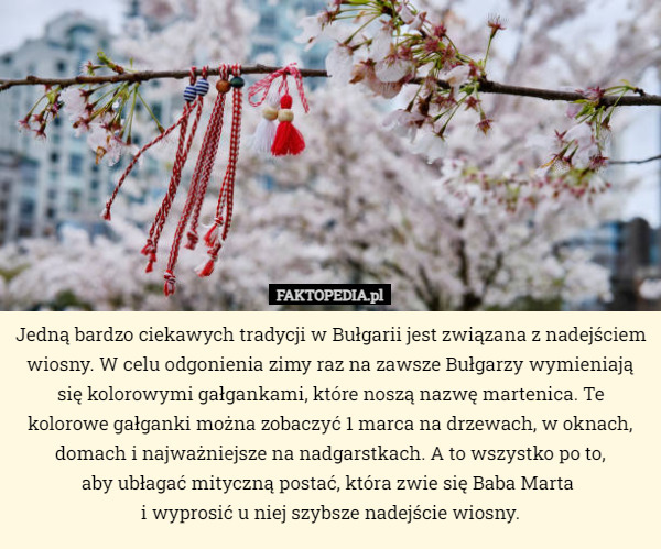 Jedną bardzo ciekawych tradycji w Bułgarii jest związana z nadejściem wiosny. W celu odgonienia zimy raz na zawsze Bułgarzy wymieniają się kolorowymi gałgankami, które noszą nazwę martenica. Te kolorowe gałganki można zobaczyć 1 marca na drzewach, w oknach, domach i najważniejsze na nadgarstkach. A to wszystko po to,
 aby ubłagać mityczną postać, która zwie się Baba Marta 
i wyprosić u niej szybsze nadejście wiosny. 