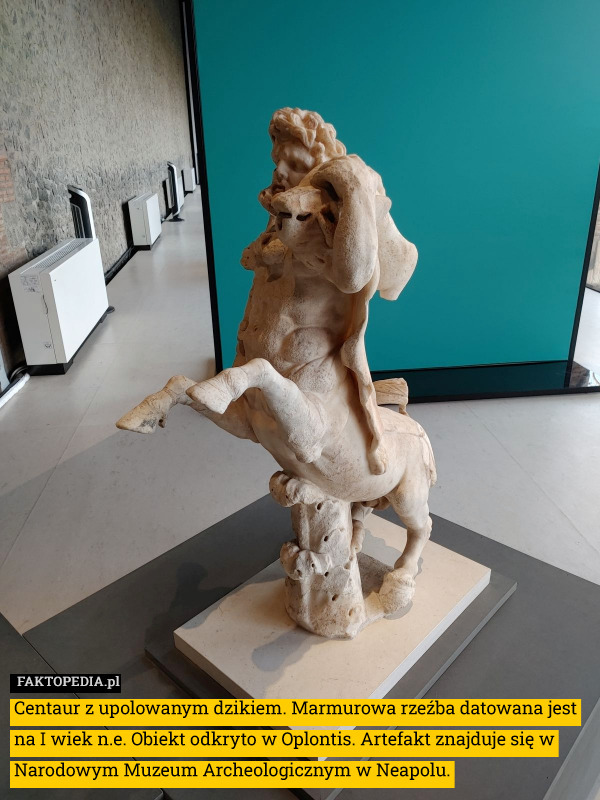 Centaur z upolowanym dzikiem. Marmurowa rzeźba datowana jest na I wiek n.e. Obiekt odkryto w Oplontis. Artefakt znajduje się w Narodowym Muzeum Archeologicznym w Neapolu. 