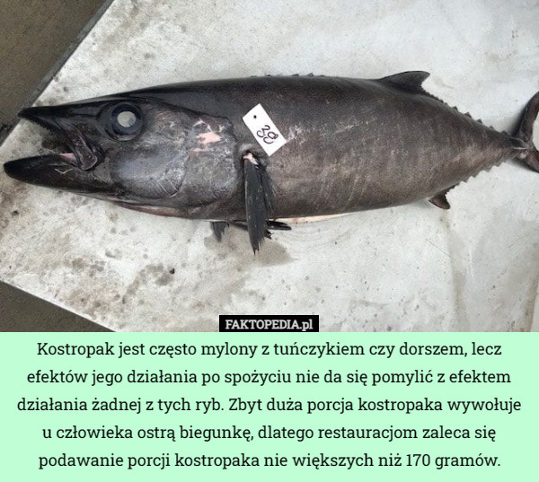 Kostropak jest często mylony z tuńczykiem czy dorszem, lecz efektów jego działania po spożyciu nie da się pomylić z efektem działania żadnej z tych ryb. Zbyt duża porcja kostropaka wywołuje u człowieka ostrą biegunkę, dlatego restauracjom zaleca się podawanie porcji kostropaka nie większych niż 170 gramów. 