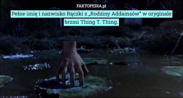 Pełne imię i nazwisko Rączki z „Rodziny Addamsów” w oryginale brzmi Thing T. Thing. 