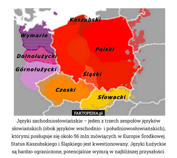 Języki zachodniosłowiańskie – jeden z trzech zespołów języków słowiańskich (obok języków wschodnio- i południowosłowiańskich), którymi posługuje się około 56 mln mówiących w Europie Środkowej. Status Kaszubskiego i Śląskiego jest kwestionowany. Języki Łużyckie
 są bardzo ograniczone, potencjalnie wymrą w najbliższej przyszłości. 
