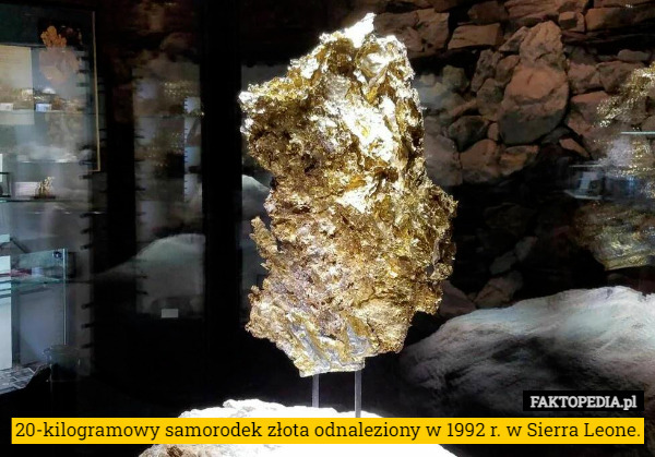 20-kilogramowy samorodek złota odnaleziony w 1992 r. w Sierra Leone. 