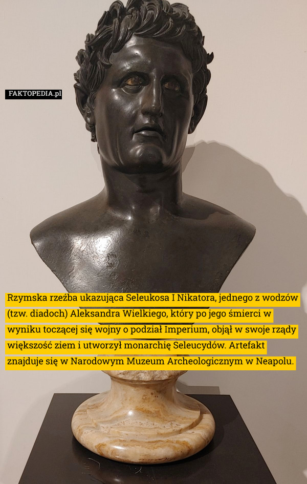 Rzymska rzeźba ukazująca Seleukosa I Nikatora, jednego z wodzów (tzw. diadoch) Aleksandra Wielkiego, który po jego śmierci w wyniku toczącej się wojny o podział Imperium, objął w swoje rządy większość ziem i utworzył monarchię Seleucydów. Artefakt znajduje się w Narodowym Muzeum Archeologicznym w Neapolu. 