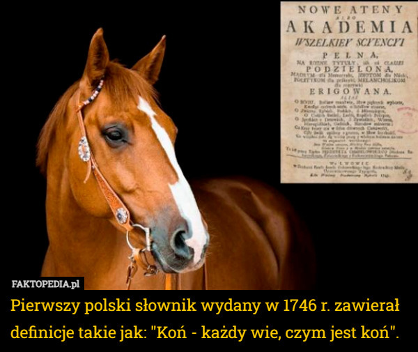 Pierwszy polski słownik wydany w 1746 r. zawierał definicje takie jak: "Koń - każdy wie, czym jest koń". 