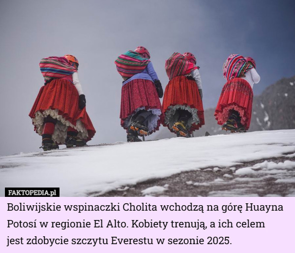 Boliwijskie wspinaczki Cholita wchodzą na górę Huayna Potosí w regionie El Alto. Kobiety trenują, a ich celem
 jest zdobycie szczytu Everestu w sezonie 2025. 