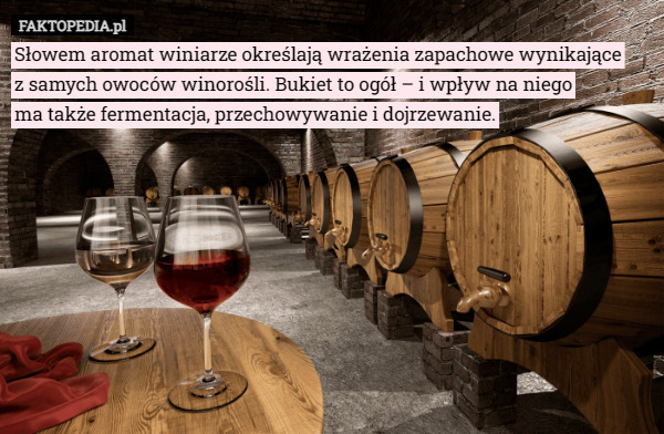 Słowem aromat winiarze określają wrażenia zapachowe wynikające
 z samych owoców winorośli. Bukiet to ogół – i wpływ na niego
 ma także fermentacja, przechowywanie i dojrzewanie. 