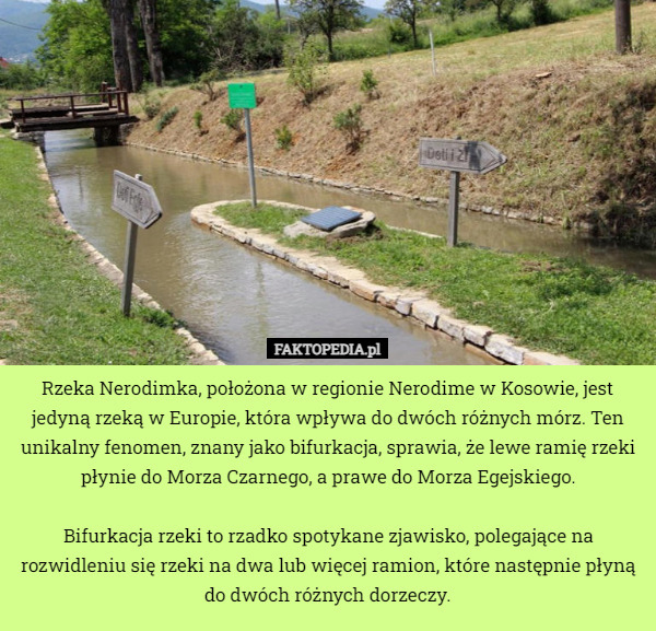 Rzeka Nerodimka, położona w regionie Nerodime w Kosowie, jest jedyną rzeką w Europie, która wpływa do dwóch różnych mórz. Ten unikalny fenomen, znany jako bifurkacja, sprawia, że lewe ramię rzeki płynie do Morza Czarnego, a prawe do Morza Egejskiego.

Bifurkacja rzeki to rzadko spotykane zjawisko, polegające na rozwidleniu się rzeki na dwa lub więcej ramion, które następnie płyną do dwóch różnych dorzeczy. 