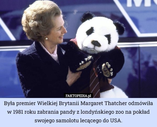 Była premier Wielkiej Brytanii Margaret Thatcher odmówiła w 1981 roku zabrania pandy z londyńskiego zoo na pokład swojego samolotu lecącego do USA. 