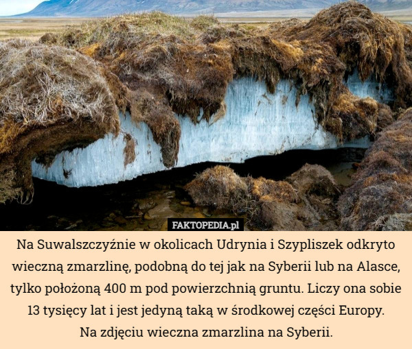 Na Suwalszczyźnie w okolicach Udrynia i Szypliszek odkryto wieczną zmarzlinę, podobną do tej jak na Syberii lub na Alasce, tylko położoną 400 m pod powierzchnią gruntu. Liczy ona sobie 13 tysięcy lat i jest jedyną taką w środkowej części Europy.
Na zdjęciu wieczna zmarzlina na Syberii. 