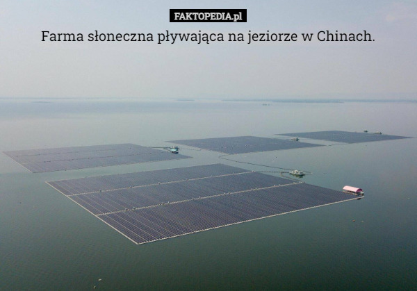 Farma słoneczna pływająca na jeziorze w Chinach. 