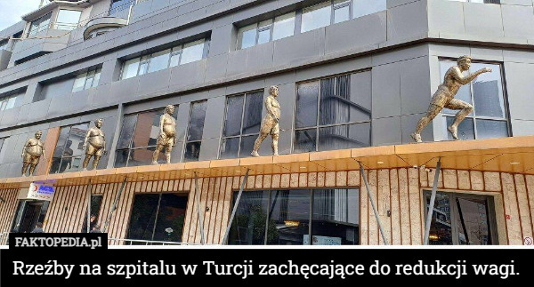 Rzeźby na szpitalu w Turcji zachęcające do redukcji wagi. 